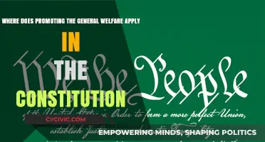 General Welfare: Exploring the Constitution's Impact