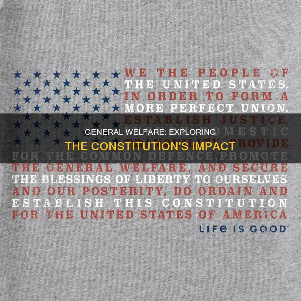 where does promoting the general welfare apply in the constitution