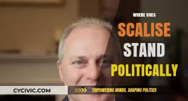 Scalise's Political Stance: Unpacking His Conservative Ideologies and Policies