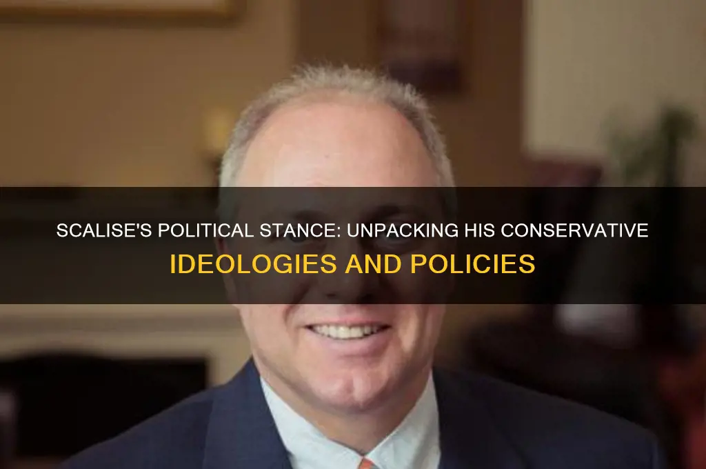 where does scalise stand politically