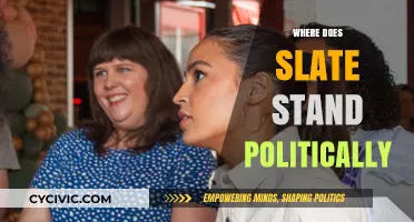 Understanding Slate's Political Stance: Liberal, Centrist, or Progressive?