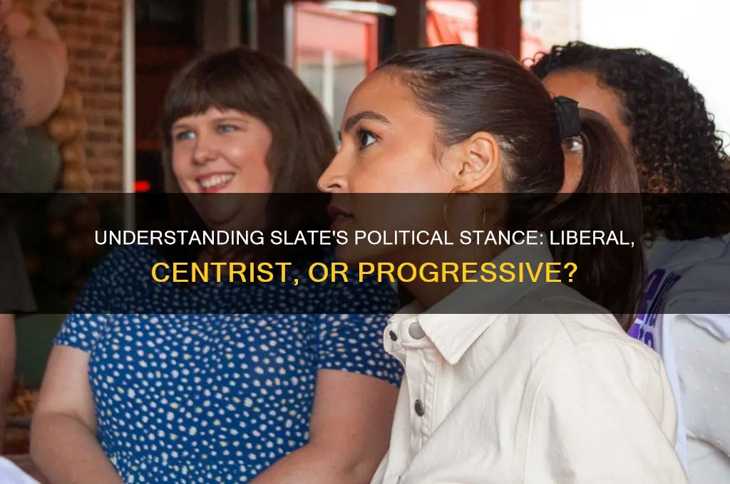 where does slate stand politically