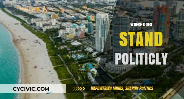 Navigating the Political Landscape: Understanding Current Global and Local Stances