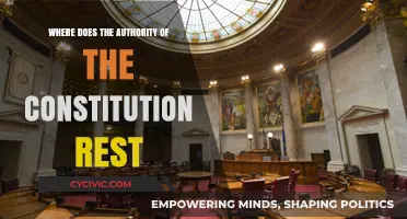 The Constitution's Authority: Where Does It Originate?