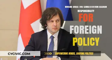 Who Shapes Foreign Policy?