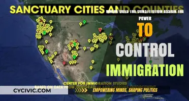 Who Controls Immigration: Constitution Power Play
