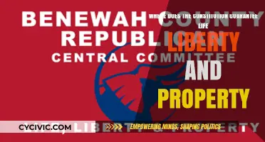 The Constitution: Life, Liberty, and Property