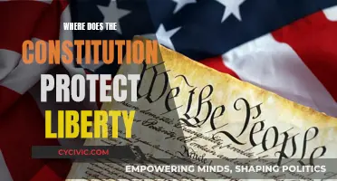 Constitution's Role in Protecting Liberty: Examining the Document's Reach