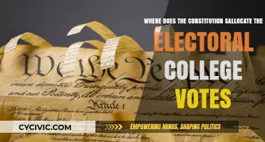 Electoral College Votes: Who Decides?