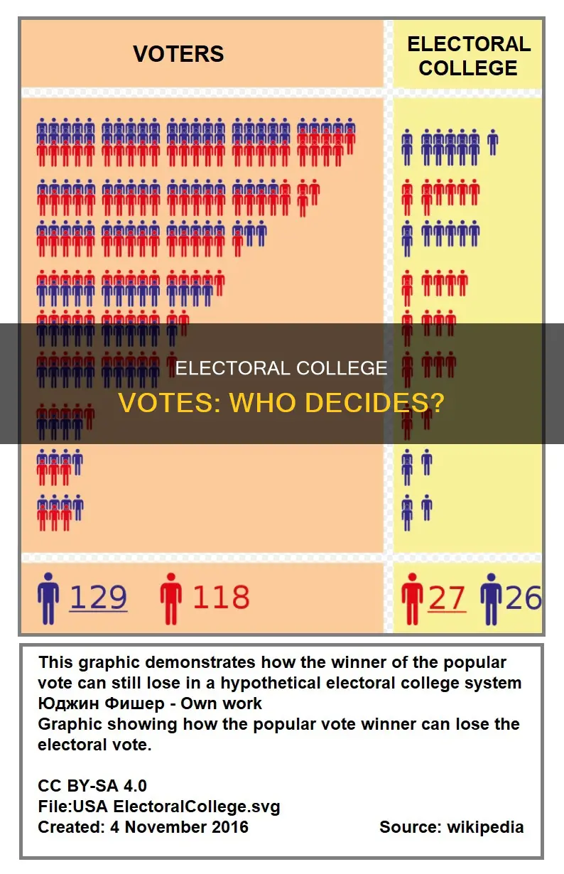 where does the constitution sallocate the electoral college votes