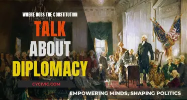 The Constitution's Diplomacy: A Guide to Foreign Relations