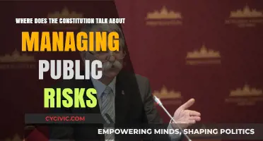 The Constitution's Guide to Managing Public Risks