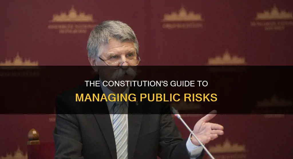 where does the constitution talk about managing public risks