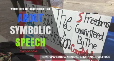The Constitution's Symbolic Speech: Where is it?