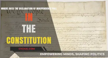 Declaration's Place in the Constitution