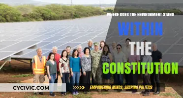 Constitution and Environment: Rights and Recognition