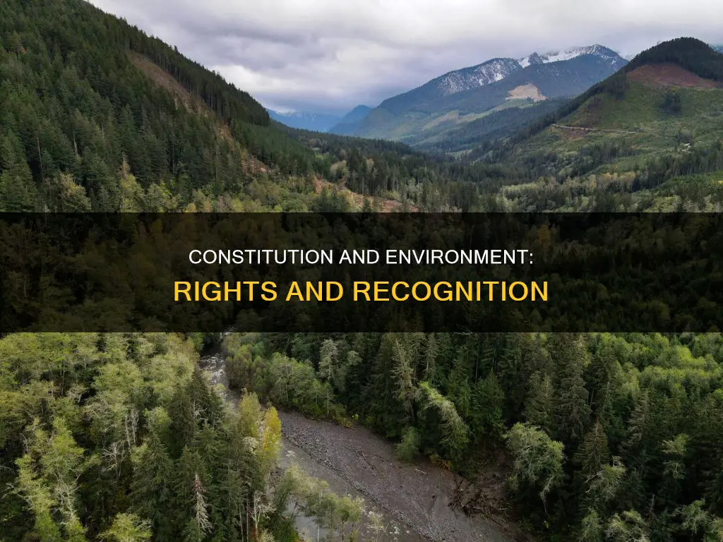 where does the environment stand within the constitution