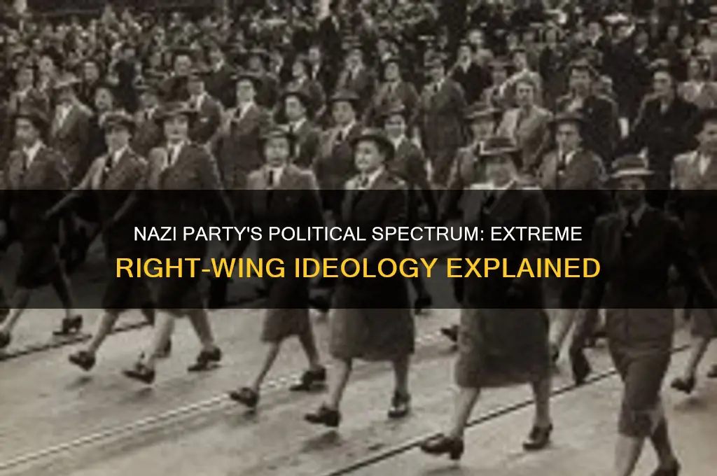 where does the nazi party fall on the political spectrum