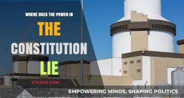 Exploring the Constitution: Power Dynamics