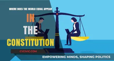 Constitution's Use of "Equal" Explored