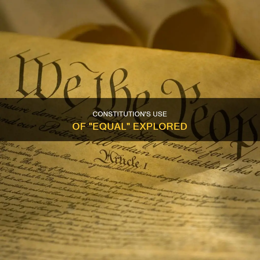 where does the world equal appear in the constitution