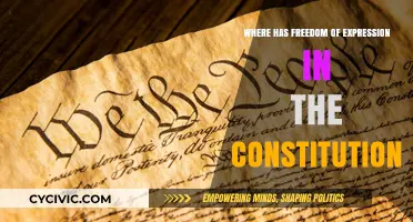 The Constitution's Freedom of Expression: A Right to Protect