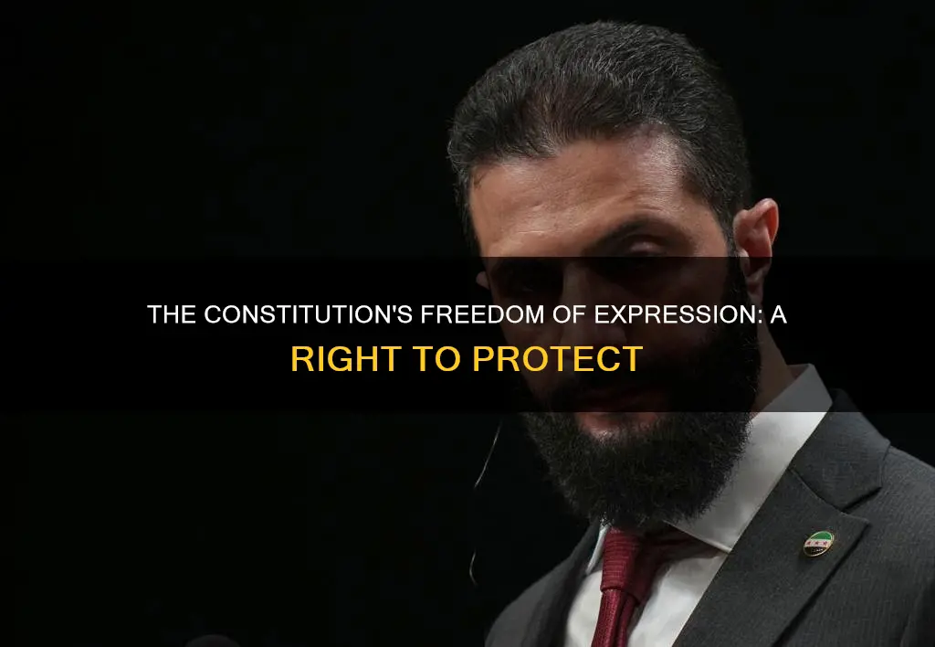 where has freedom of expression in the constitution