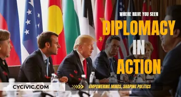 Diplomacy in Action: Stories of Global Impact