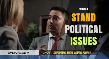 My Political Stance: Navigating Key Issues Shaping Our Future