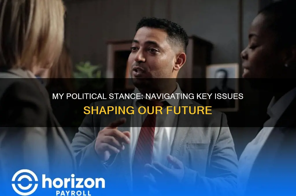 where i stand political issues