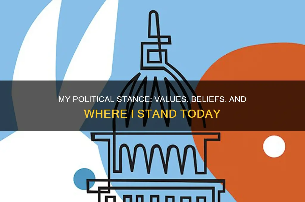 where i stand politics