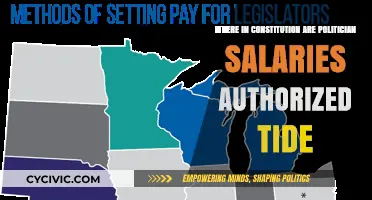 The Constitution's Salary Clause: Authorizing Politician Pay