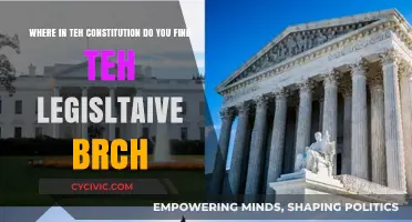 The Legislative Branch: Where in the Constitution?