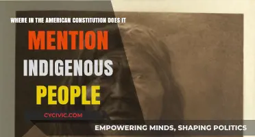 Indigenous People in the US Constitution: Where Are They?