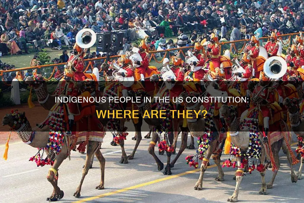 where in the american constitution does it mention indigenous people