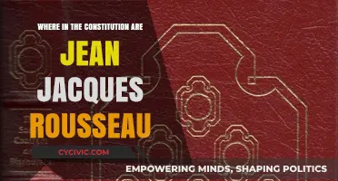 Rousseau's Influence on the Constitution