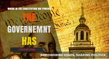 The Constitution: Understanding Government Powers