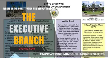 Executive Branch: Constitutional Regulations and Their Location