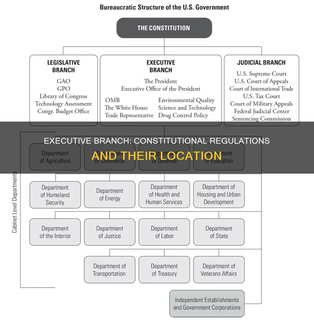 where in the constitution are regulations on the executive branch