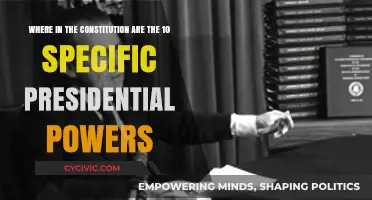 Presidential Powers: The Constitution's Explicit Grant