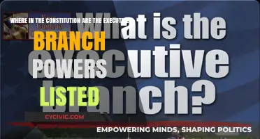 Executive Powers: Where Are They in the Constitution?