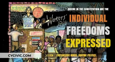 The Constitution's Cornerstone: Individual Freedoms