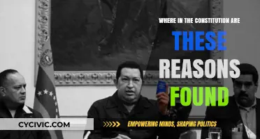 The Constitution's Reasons: Where Are They Found?