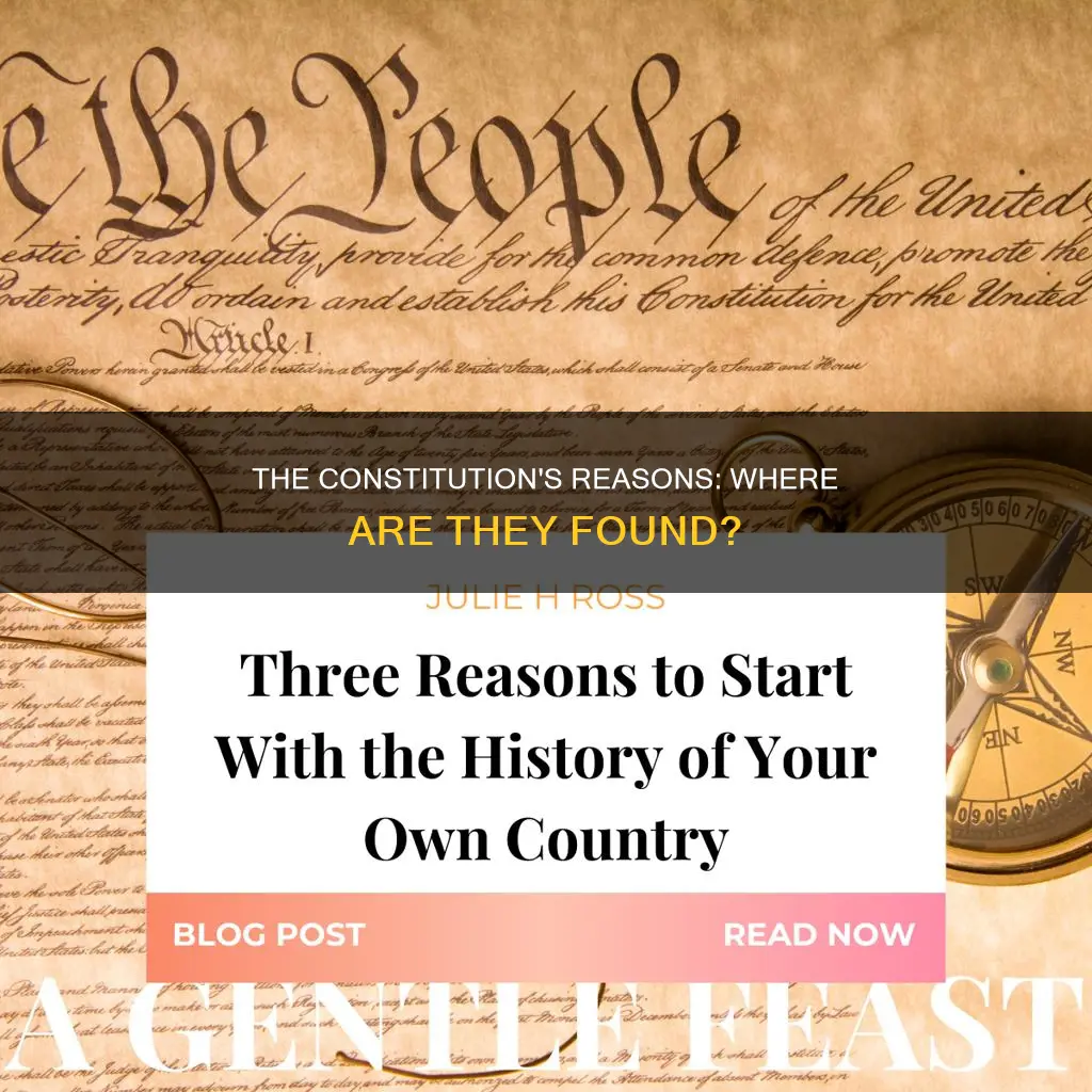 where in the constitution are these reasons found