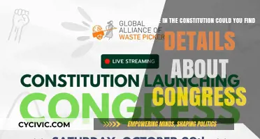 Congress' Constitutional Cornerstone