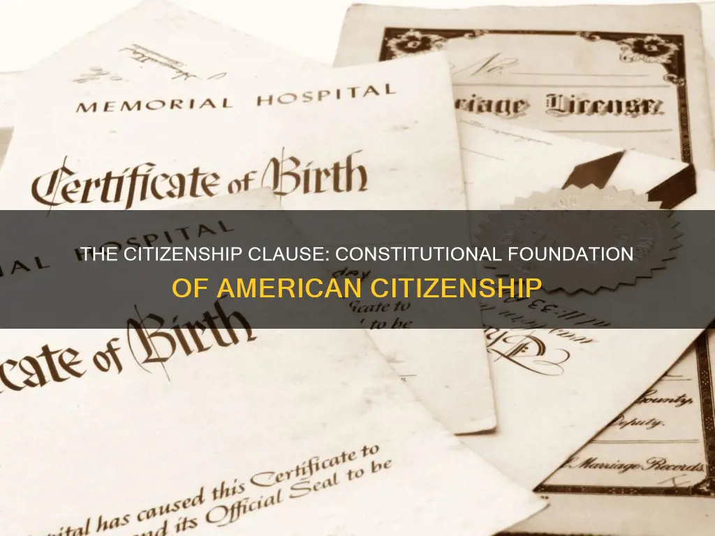 where in the constitution do we find citizenship clause