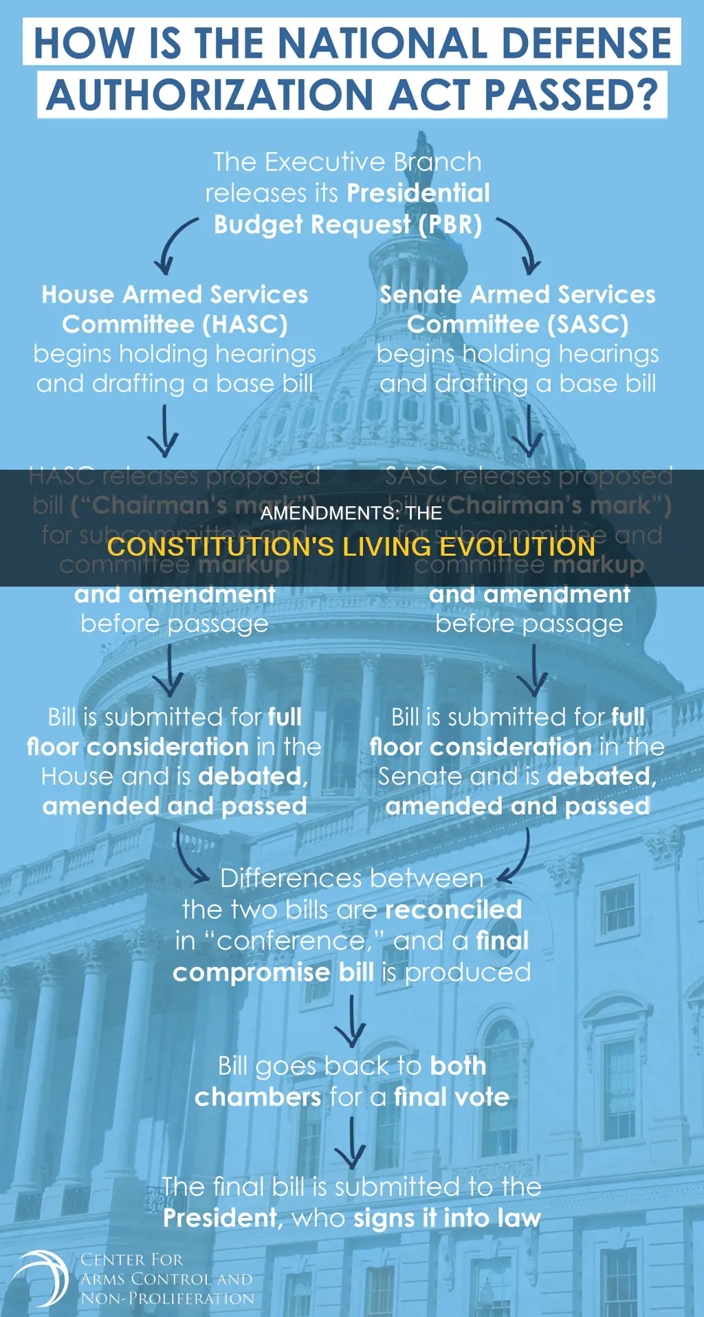 where in the constitution does it allow amendments