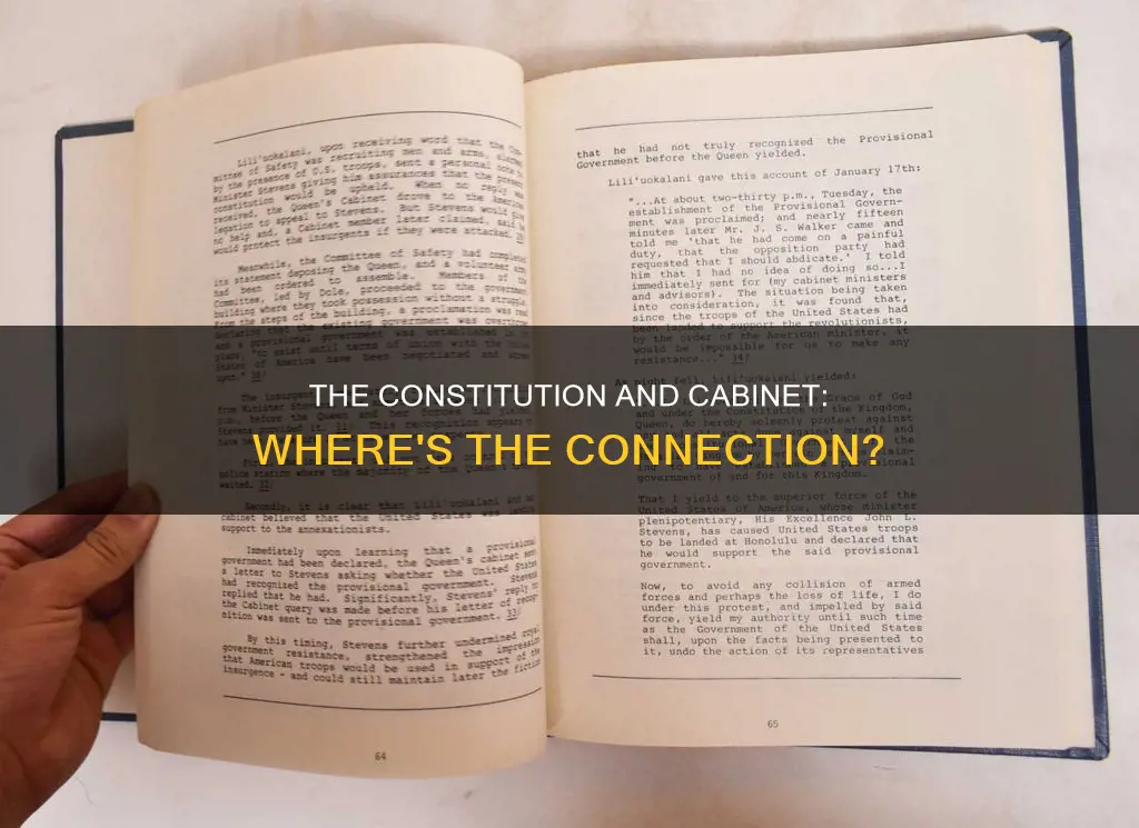 where in the constitution does it establish a cabinet