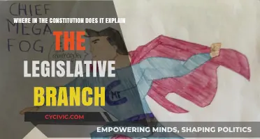 The Legislative Branch: Constitutional Foundation Explained
