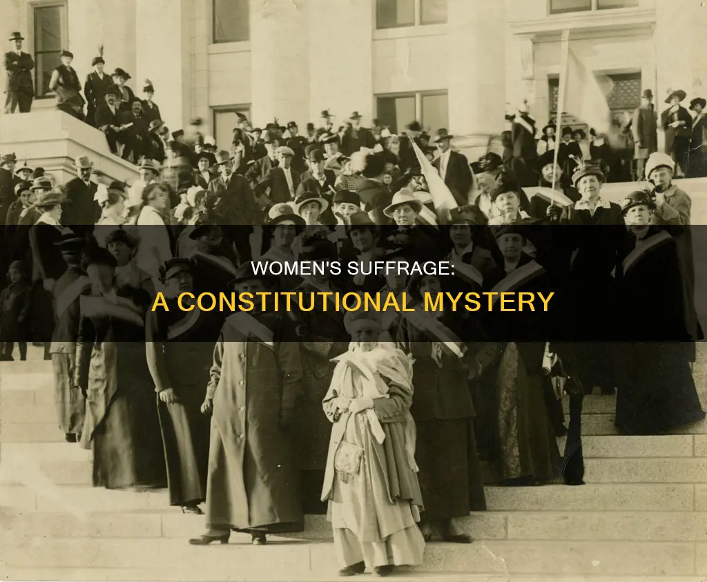 where in the constitution does it forbid women fo vote